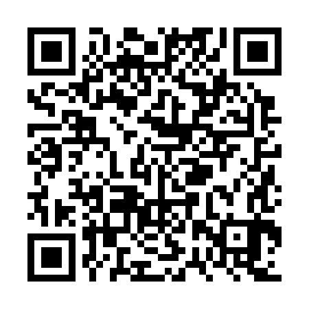 QR code for VRZ383