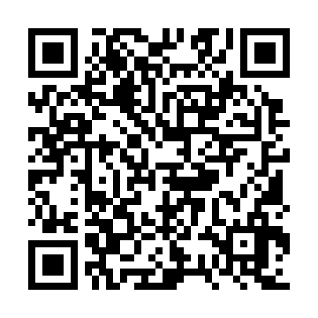 QR code for VSM336