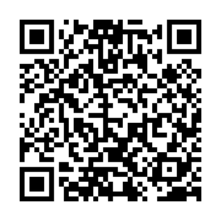 QR code for VSV028