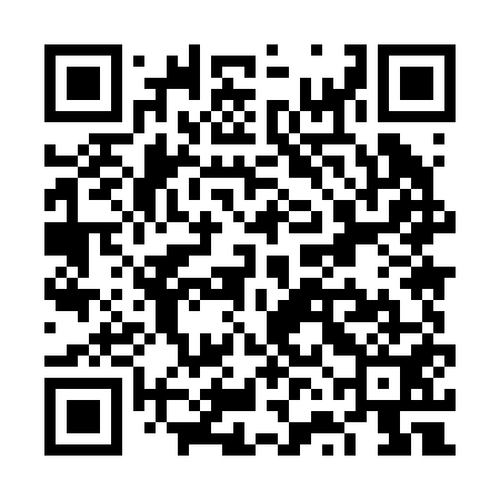 QR code for VVM251