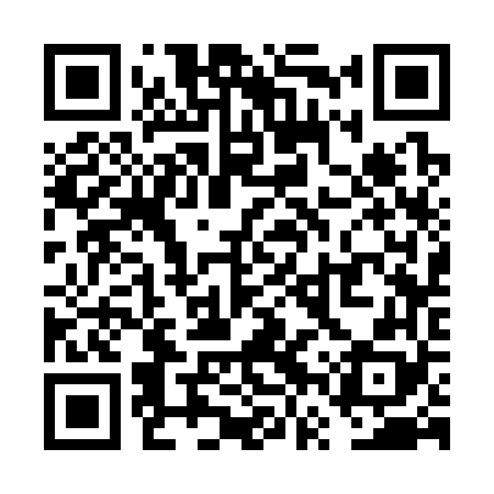 QR code for VVS368