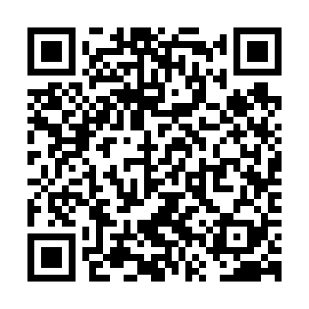 QR code for VVS629