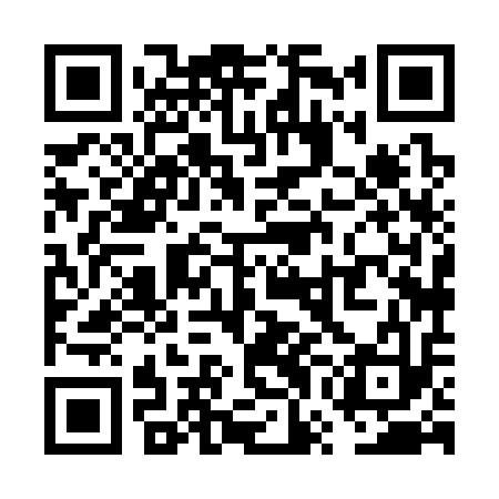 QR code for VWH313