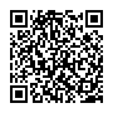 QR code for VZQ111