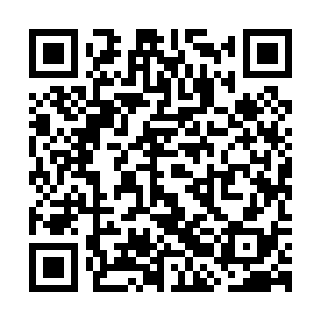 QR code for WBI038