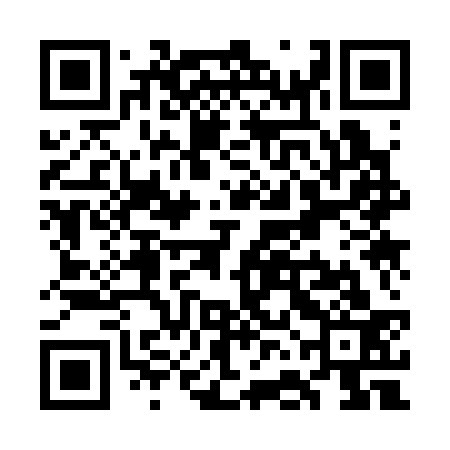 QR code for WFK333