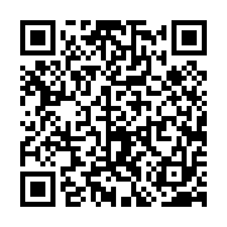 QR code for WGT013