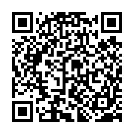 QR code for WII697