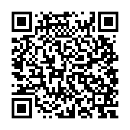 QR code for WIV741