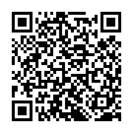 QR code for WMU441
