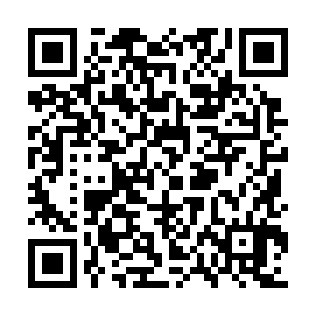 QR code for WPI384