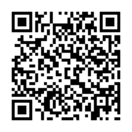 QR code for WPT313