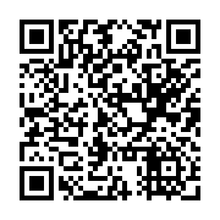 QR code for WPX917