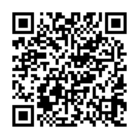 QR code for WRO919