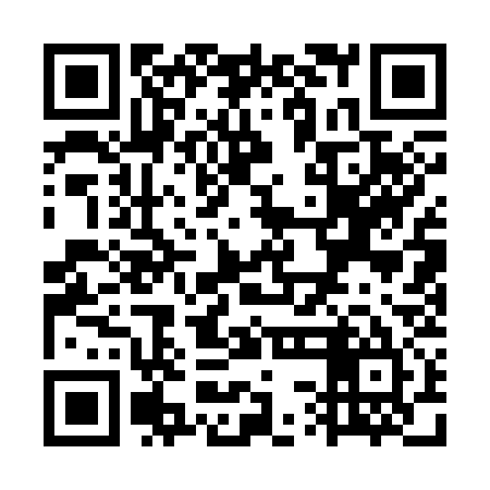 QR code for WSA335