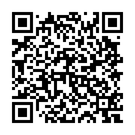 QR code for WSI011