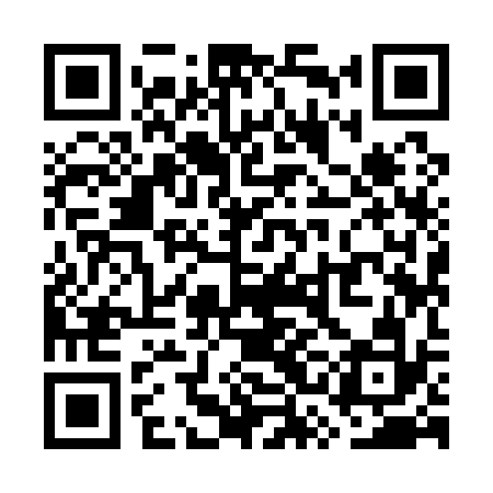 QR code for WSI132