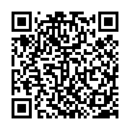 QR code for WSZ411