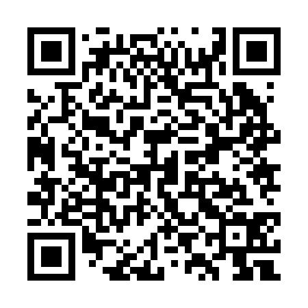 QR code for WYJ234