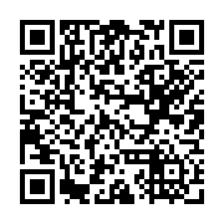 QR code for WZL374