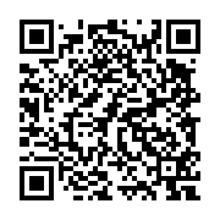 QR code for WZL411
