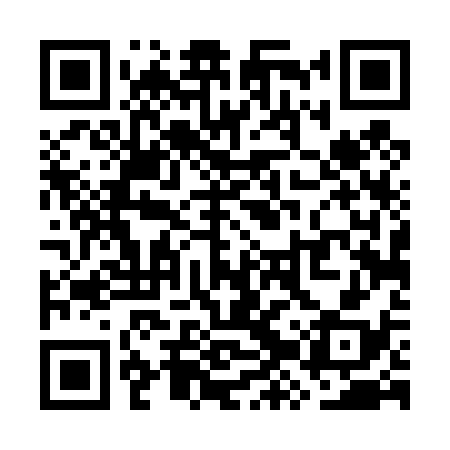 QR code for WZT438