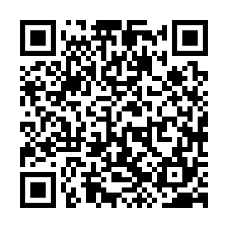 QR code for WZX374