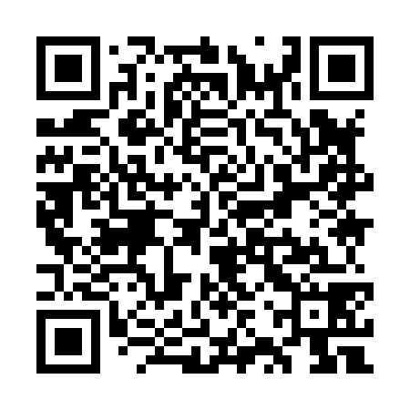 QR code for WZY878