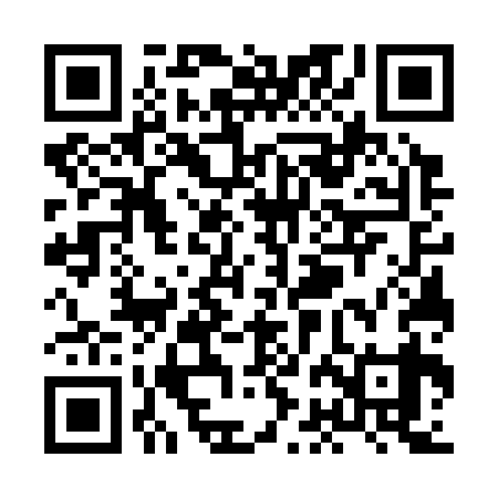 QR code for XBG339