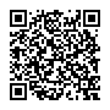 QR code for XCL335