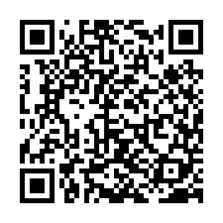 QR code for XDE249