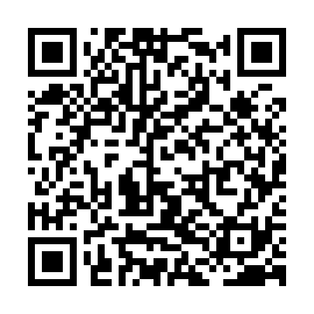 QR code for XDG931