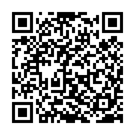 QR code for XDI495