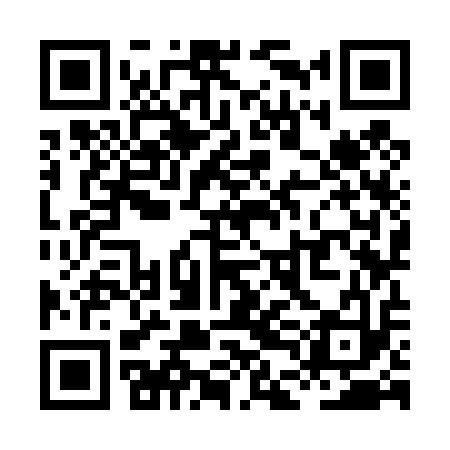 QR code for XDK413
