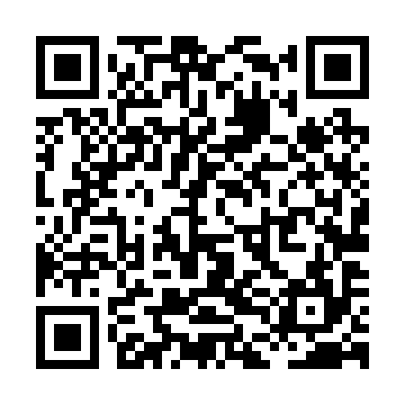 QR code for XDL294