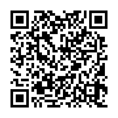 QR code for XDM338