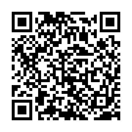 QR code for XFC313