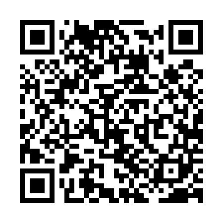 QR code for XFD541