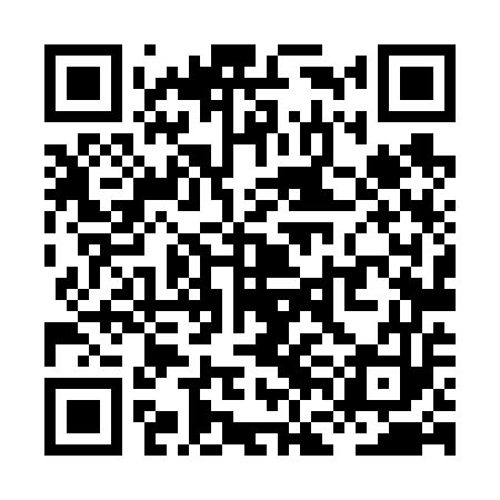 QR code for XFL653