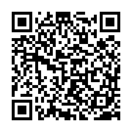 QR code for XFZ541