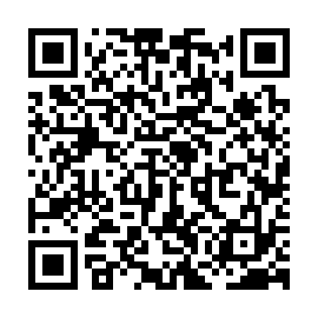 QR code for XGF333