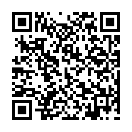 QR code for XGG391