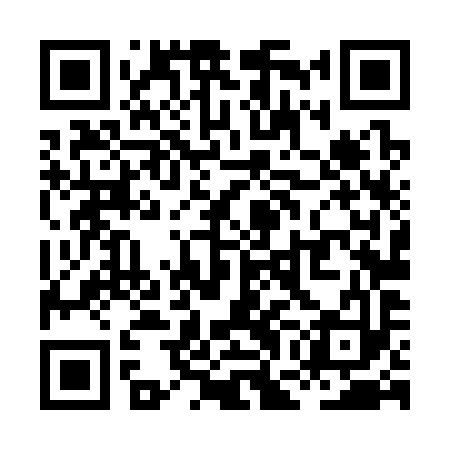 QR code for XGL393