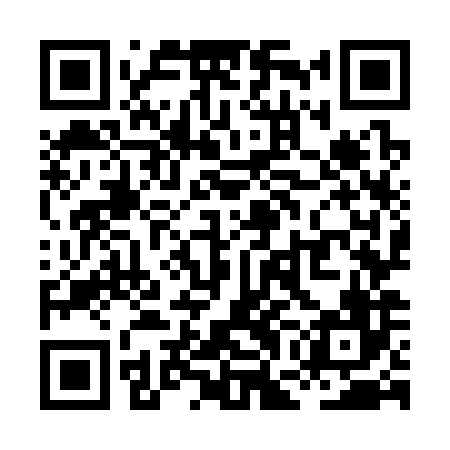 QR code for XGO386