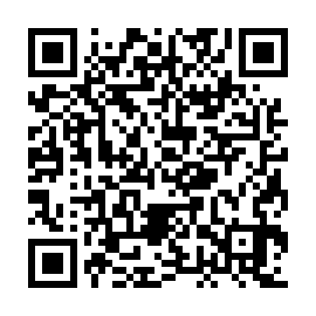 QR code for XGS533