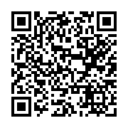 QR code for XHV387