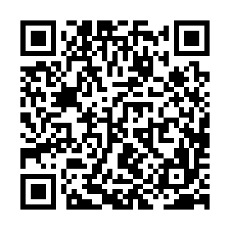 QR code for XIP396