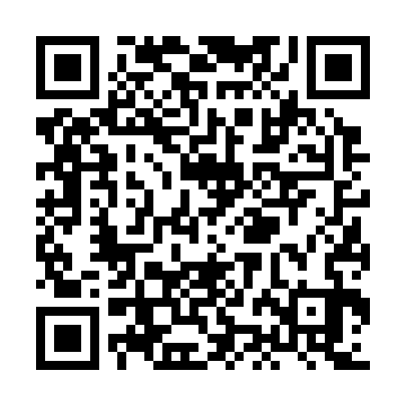 QR code for XJF333