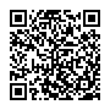 QR code for XJQ294