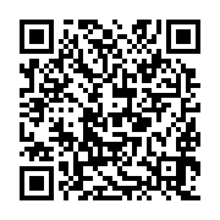 QR code for XKF393